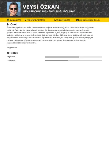 Mekatronik Mühendisliği Cv Örnekleri cv indir